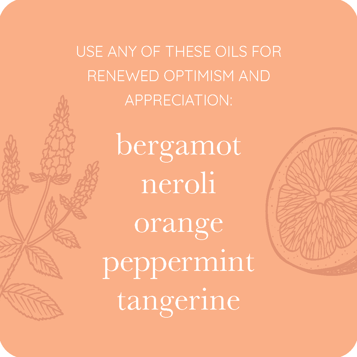 Essential Oil Cards - Aromatherapy Edition